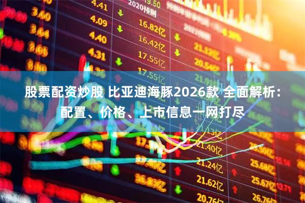 股票配资炒股 比亚迪海豚2026款 全面解析：配置、价格、上市信息一网打尽
